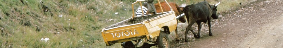 Toyo Anhaenger
