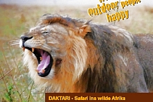 Daktari (mit Gorilla-Trekking) Sommer 2018