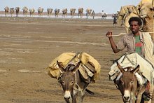 Bubentraum Trans-Afrika: Namibia - Kenya - Danakil (in 2 Etappen)