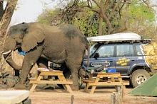 ..oder lieber mit dem Geländewagen