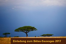 Bêtes Sauvages